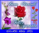 martedì 11 agosto 2015-546197_423353247727020_1567216918_n-jpg