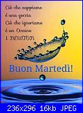 martedì 23 febbraio 2016-eb8d6ed3c319498875a44a43967d2c2c-jpg