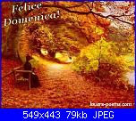 domenica 6 novembre 2016-domenica-100624-4-jpg