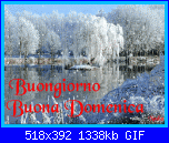 domenica 22 gennaio 2017-oie_7zbjruqivy6q-gif