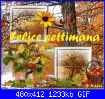 lunedì 23 gennaio 2017-oie_bjuv4absij8q-gif