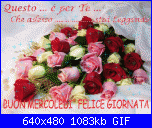 mercoledì 22 febbraio 2017-myphoto1-gif