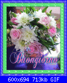 sabato 18 marzo 2017-myphoto-2-gif