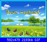 sabato 22 aprile 2017-image-2-gif