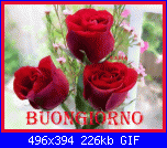 mercoledì 31 maggio 2017-oie_hqqildtyfeef-gif