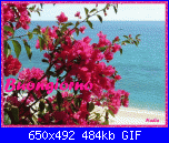 venerdì 4 agosto 2017-oie_r6ertq0galdh-gif