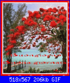 martedì 8 agosto 2017-oie_oie_glitters-gif