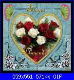 domenica 27 agosto 2017-myphoto-3-gif