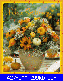 lunedì 30 ottobre 2017-oie_floaties-gif