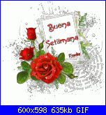 lunedì 29 gennaio 2018-1-gif