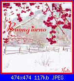 martedì 13 febbraio 2018-oie_dtjbq2tikdkh-jpg