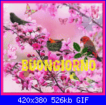 lunedì 30 aprile 2018-oie_8zlmh7mz9125-gif