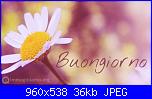 Martedì 4 dicembre 2018-immagini-buongiorno-4-jpg