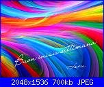 Lunedì 21 gennaio 2019-1548054072437-jpg