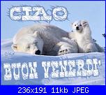 Venerdì 25  gennaio 2019-orsi-jpg