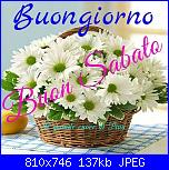 Sabato 2 febbraio 2019-aec4b9ed4bd6f287e098da2fe93596bc-jpg