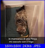 Sabato 9 marzo 2019-1552116189154-jpg