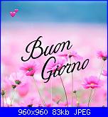 Venerdì 15 marzo 2019-71e918f34152910ff98e438e8bfdd832-jpg