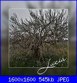 Domenica 17 marzo 2019-1552810943819-jpg