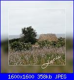 Domenica 17 marzo 2019-1552811001022-jpg