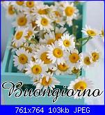 Venerdì 22 marzo 2019-a19d9f7583f034ef51cbdc3791eaaba0-jpg