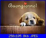 Giovedì 12 settembre 2019-b-jpg