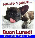 Lunedì 16 settembre 2019-l-jpg