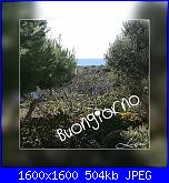 Venerdì 8 novembre 2019-1573213049849-jpg