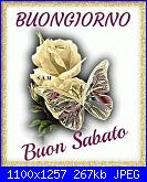 Sabato 16  novembre 2019-img_3299-jpg