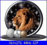 il leone ha smesso di lottare-animal070-gif