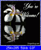 lexotan76: mi presento-youre_welcome_reflecting_white_flower-gif