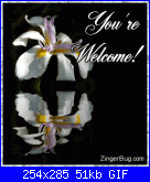 maryale: ciao a tutti-youre_welcome_reflecting_white_flower-gif