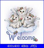 ghima: ciao-welcome_gatinhos-jpg