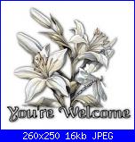 danielafashion84: saluto-your_welcome_white_flowers-jpg
