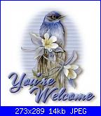 annaskay: Ciao a tutte ;-)-welcome_blue_bird-jpg