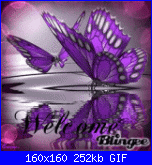 domi: Ciao-570482431_761377-gif