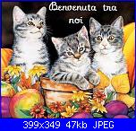 Anna Grazia: Ciao a tutte-3_20gattini_20_20fiori_20bv_20tra_20noi-jpg