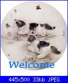 felt flowers :Ciao a tutti! mi presento...-215184-39126497-m750x740-u0335a-jpg