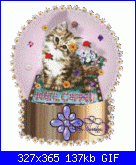 stellacielo90: ciao mi presento-1129-gif