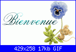 shirley981: ciao-3145_bienvenue2%5B1%5D-gif