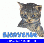 Moiaussi: Ciao-pv5fjd51-gif