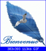 polvere10: Ciao a tutte!!!!!!!!!!-28aec4b6-gif