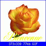 stefy80x: mi presento!-ca652c06-gif