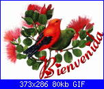 Stefany64: Mi presento-bienvenida1-gif