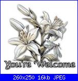 sabato56: sono una timidona-your_welcome_white_flowers-jpg