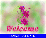 damygio: Ciao a tutte...... mi presento-1zl86awm-gif