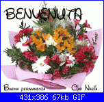 Bibì62: Finalmente ci sono anch'io...................-2-gif