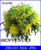 beth8: ciao mi presento-mimose-jpg