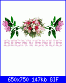 banny: Presentazione-5fks942i-gif