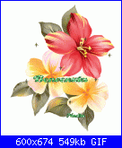 gass: ciaoooo..sono appena arrivata-myphoto4-gif